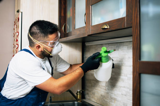 Best Pest Prevention Services  in Doraville, GA