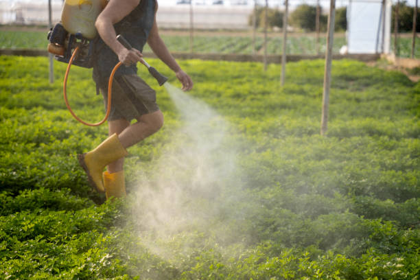 Best Best Pest Control Companies  in Doraville, GA