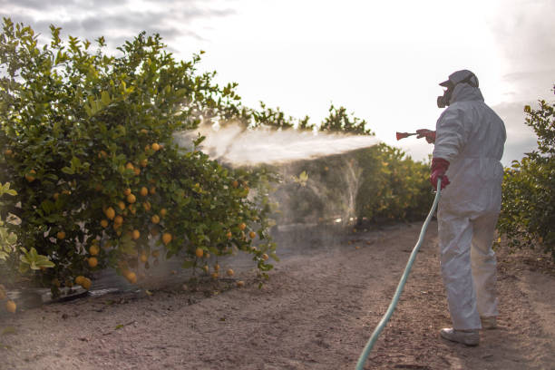 Best Insect Control  in Doraville, GA