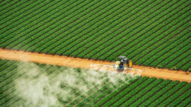 Best Mosquito Control Services  in Doraville, GA