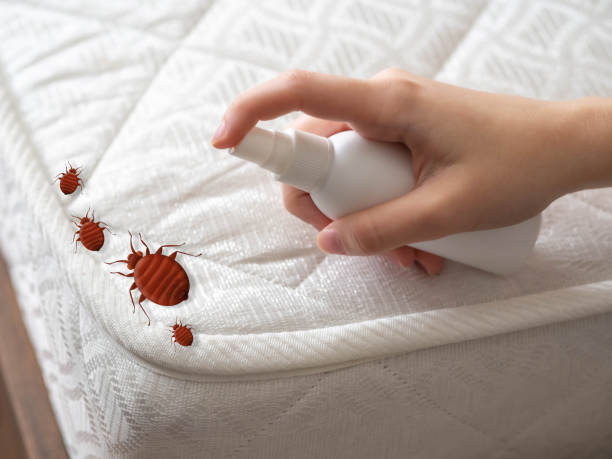 Best Exterminator Services  in Doraville, GA