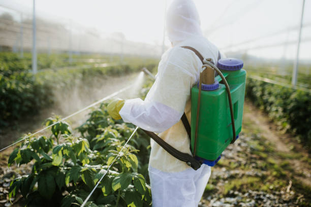 Best Residential Pest Control  in Doraville, GA